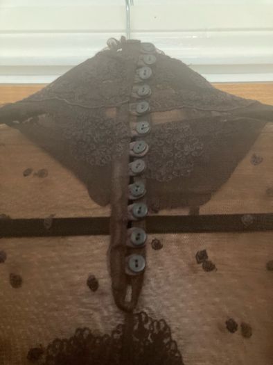 Sheer Brown Lace Top