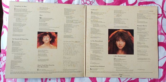 Kate Bush Lionheart Vinyl