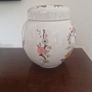 ginger jar Image 2