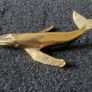 3 brass animals. Solid brass. Image 3