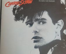 Charlie Sexton - Pictures For Pleasure.