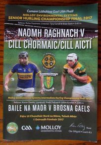 2017 Kilcormac/Killoughey v St. Rynagh's - Offaly GAA Senior Hurling Club Final