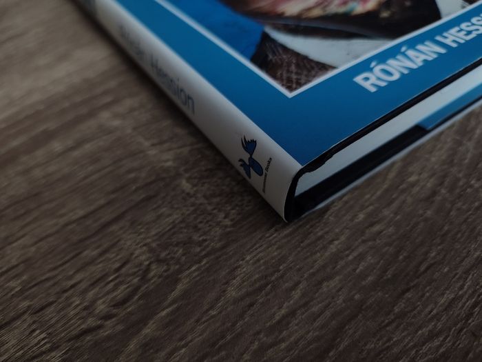 Panenka ! by Ronan Hession ! Hand Signed by An Author ! RARE BOOK ! First Printing ! 2021 ! by Bluemoose !
