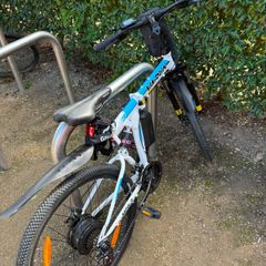 E bike