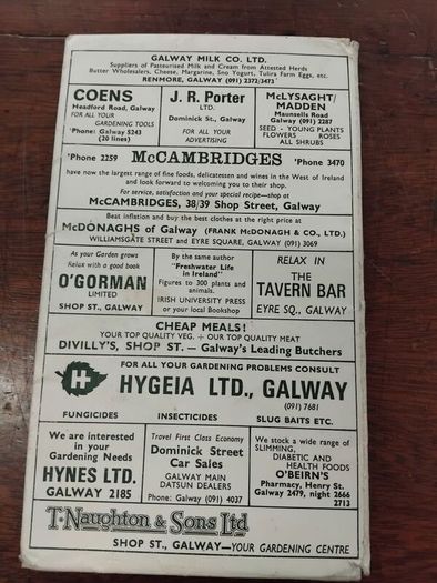 1974 Galway Garden system