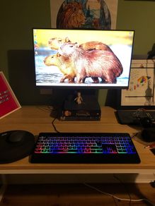 Lenovo IdeaCentre AIO 24" - 2026 Model - Ryzen 3, 8GB RAM, 512GB SSD