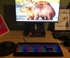 Lenovo IdeaCentre AIO 24" - 2026 Model - Ryzen 3, 8GB RAM, 512GB SSD
