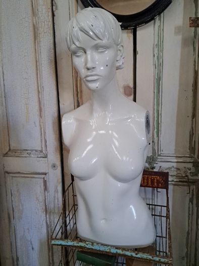 Mannequin Torso