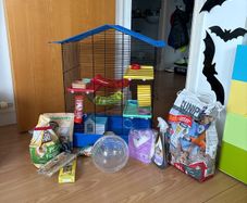 Small pet cage with accessories