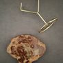 Fossilized wood, Madagascar, Triassic period. Image 6
