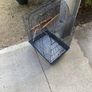 bird Image 2