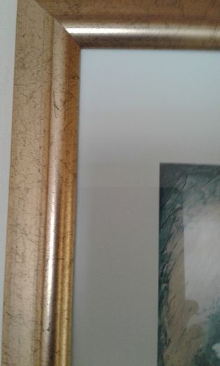Vintage Gilt-Framed Glass-Fronted Floral Print.