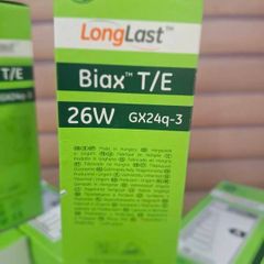 lightbulb