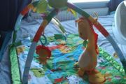 Jungle gym