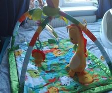 Jungle gym