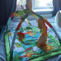 Jungle gym