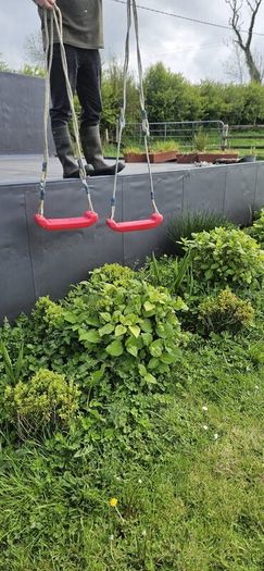 Swing set (with slide)