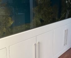 3000 litre salt water fish tank and cabinet