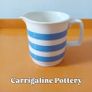 Carrigaline Blue and White Stripe Cup and Saucer Duo Image 6