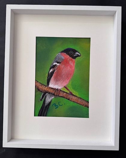 Original Pastel Paintings of Irish Garden Birds
