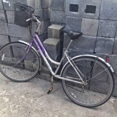 ladies bike
