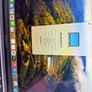 Macbook Pro 13   2020 16gb Ram 1tb Ssd Image 2