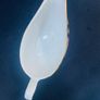 Arklow Pottery Patern 812 Alton Gravy Boat Image 4
