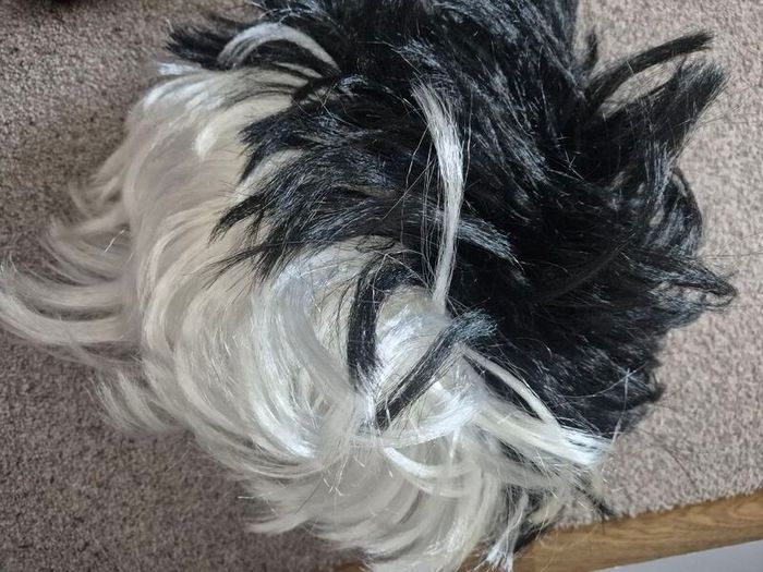 Halloween wig