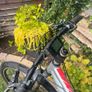 ebike Image 2