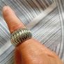 ring Image 2