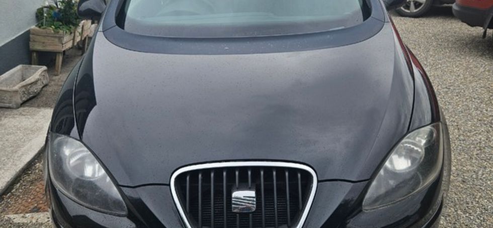 2013 Seat Altea