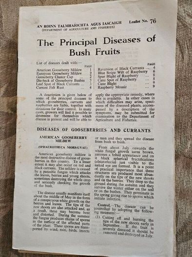 1960s Department Of Agricultural Booklets On Farming. Topics Such As Patato Growing,planting Forest Trees,desease Control And Others. In Good Condition.  See Photos For Same.