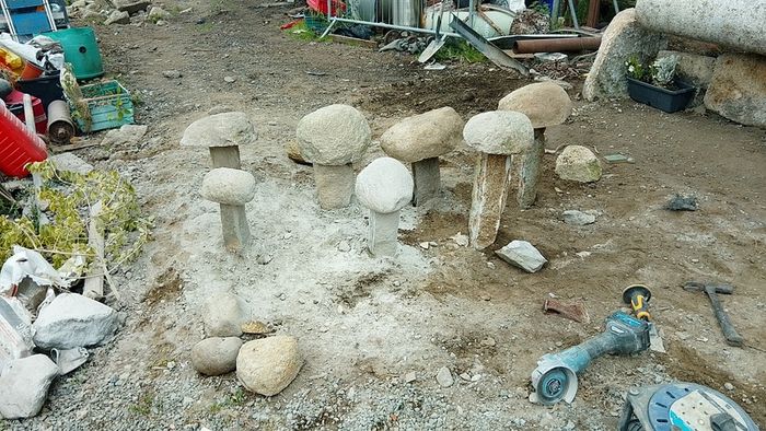 Granite mushrooms miniature ones
