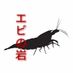 ShrimpRock