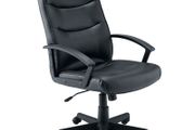Canasta Leather High Back Executive Office Chair