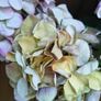 Hydrangea wreath Image 4
