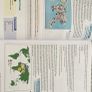 Leaving Cert Higher and Ordinary level Geography textbooks Image 4