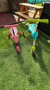 scuttle bugs