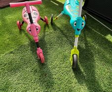 scuttle bugs