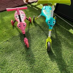 scuttle bugs
