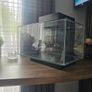 fish tank. Image 2