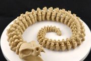 3D Printed Articulated Snake Skeleton