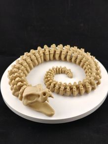 3D Printed Articulated Snake Skeleton