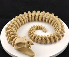 3D Printed Articulated Snake Skeleton