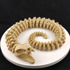 3D Printed Articulated Snake Skeleton