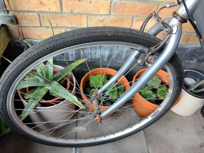 Apollo bike