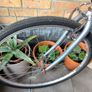 Apollo bike Image 5
