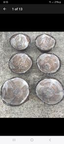 ( 24 ) wicker Hanging Baskets