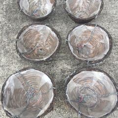( 24 ) wicker Hanging Baskets