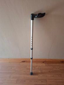 Walking Stick
